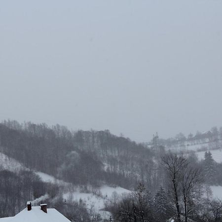 Pensiunea Iulia Hotel Bran  Ruang foto