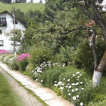 Pensiunea Iulia Hotel Bran  Bagian luar foto