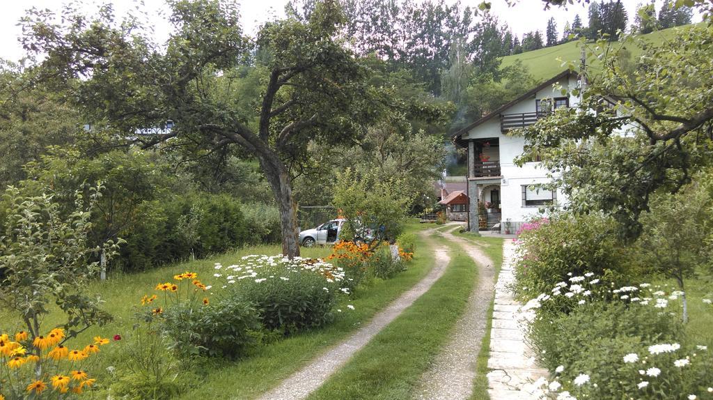 Pensiunea Iulia Hotel Bran  Bagian luar foto